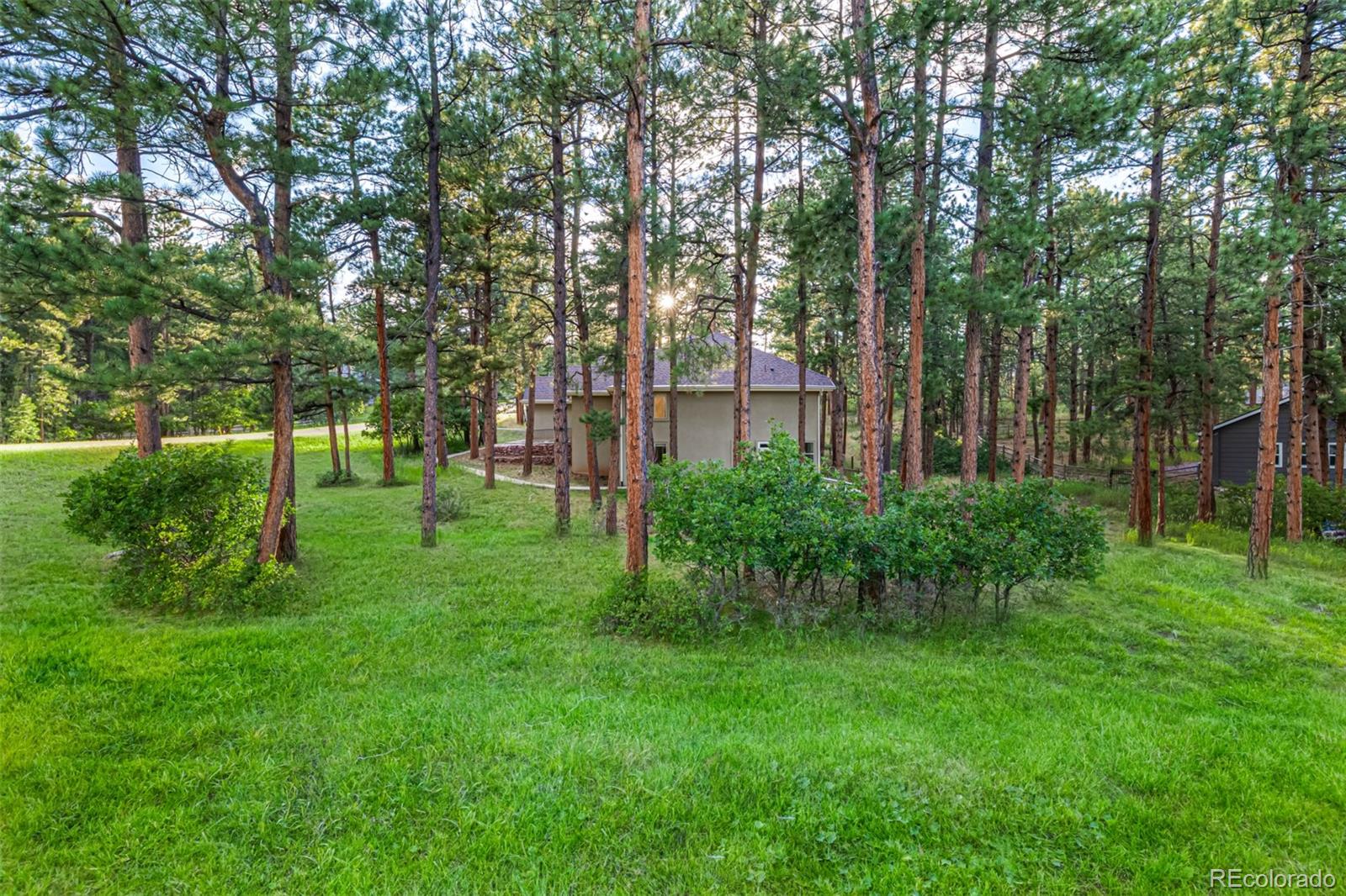 MLS Image #42 for 4381  cheyenne drive,larkspur, Colorado