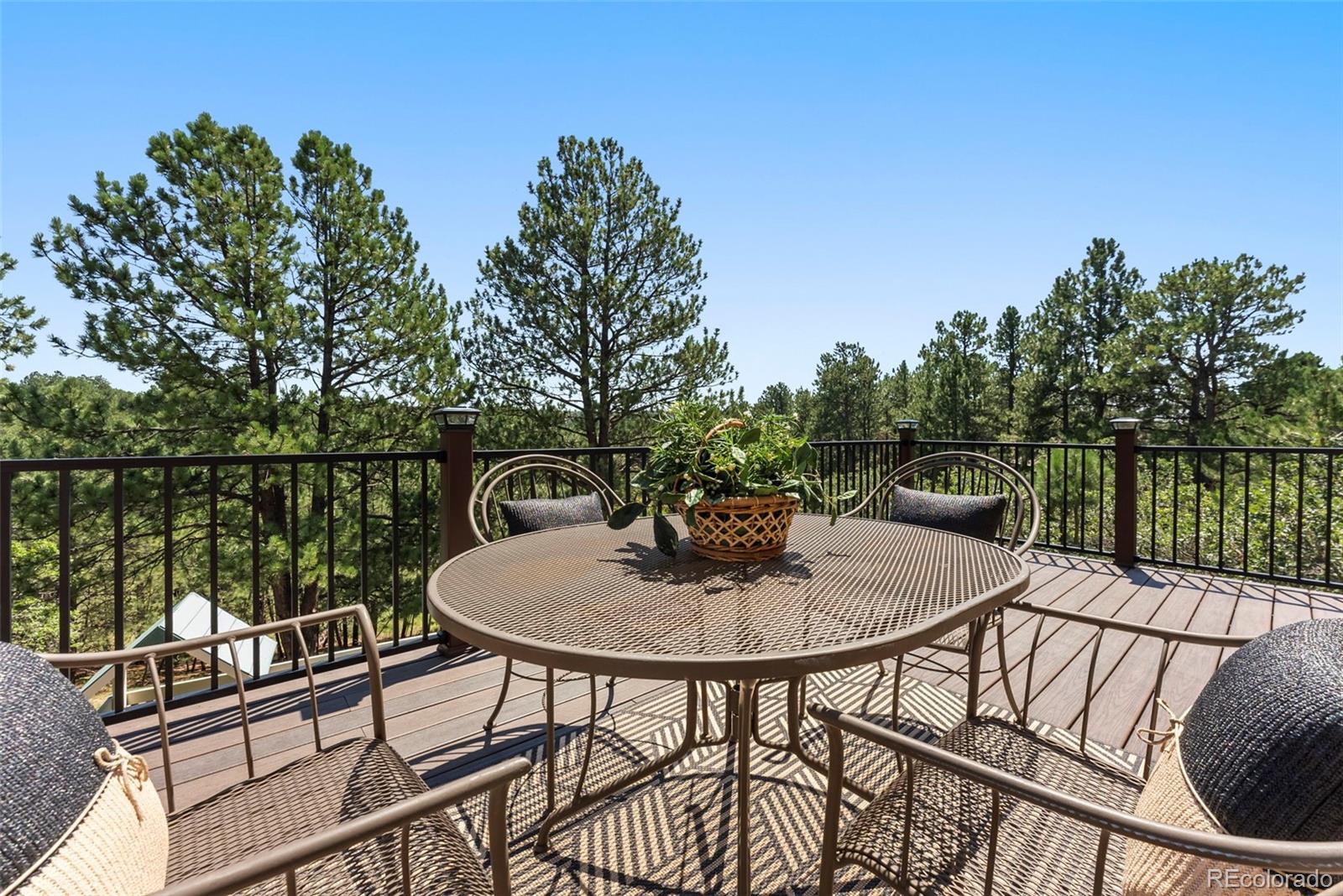 MLS Image #28 for 630  larks nest way,monument, Colorado