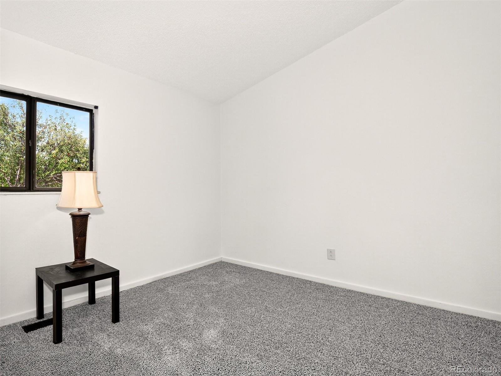 MLS Image #20 for 3660  inspiration drive,colorado springs, Colorado