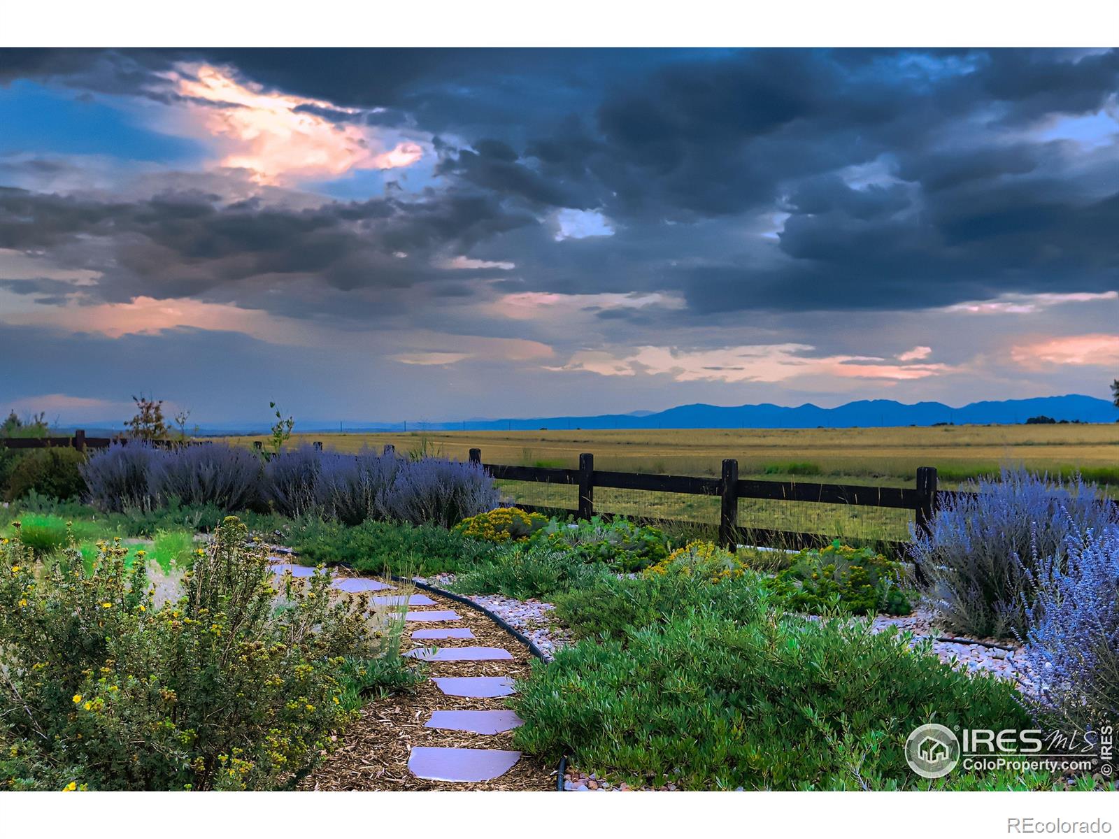 MLS Image #35 for 929  compass drive,erie, Colorado