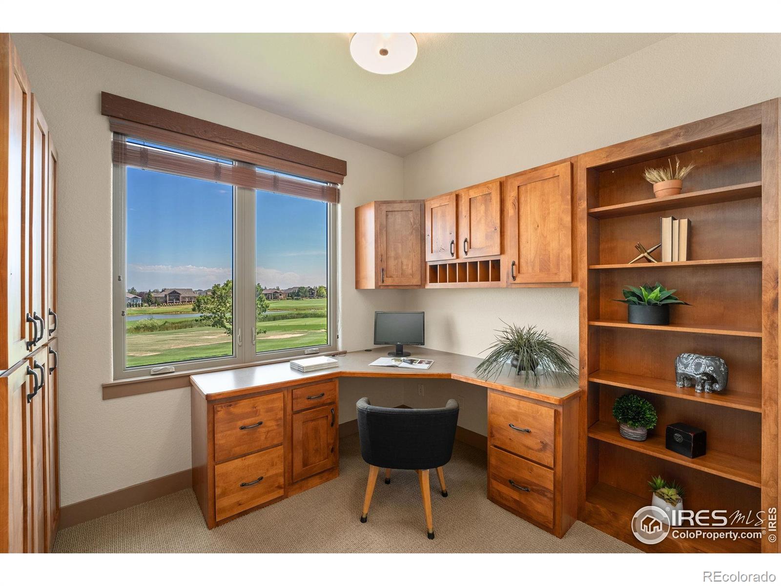 MLS Image #22 for 6558  murano drive,windsor, Colorado