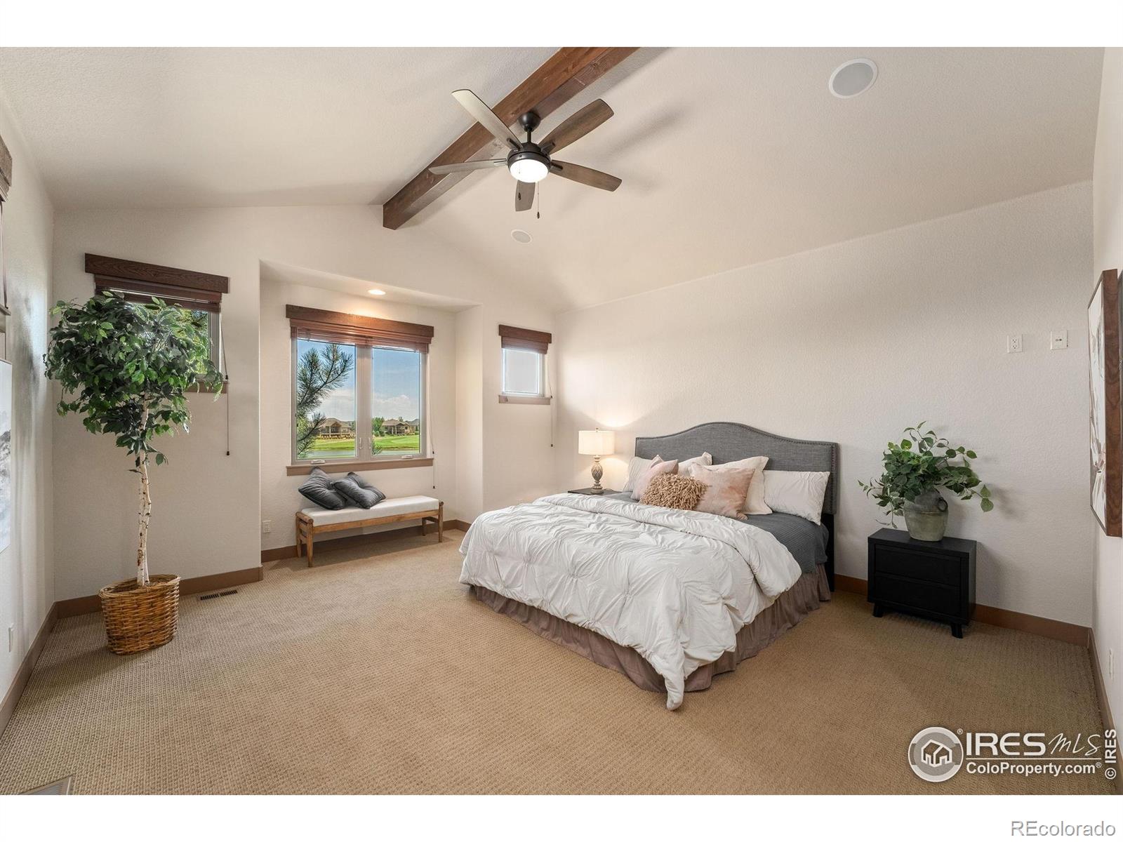 MLS Image #25 for 6558  murano drive,windsor, Colorado