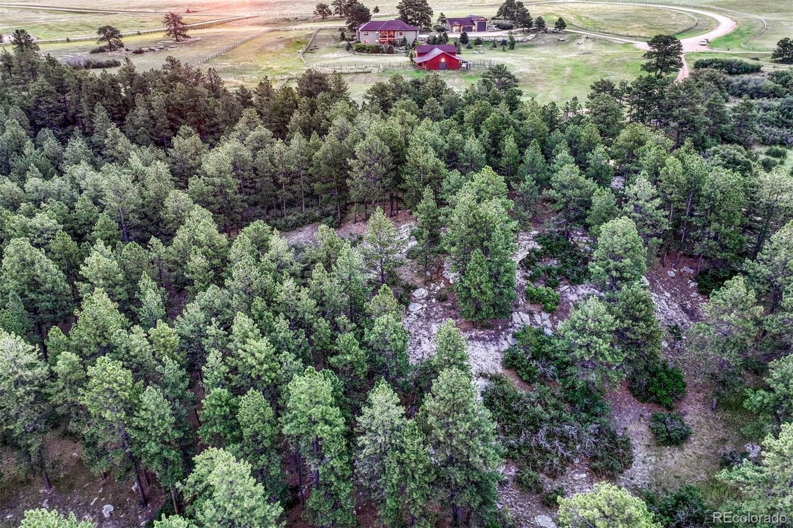 MLS Image #1 for 10345  little moon trail,elbert, Colorado