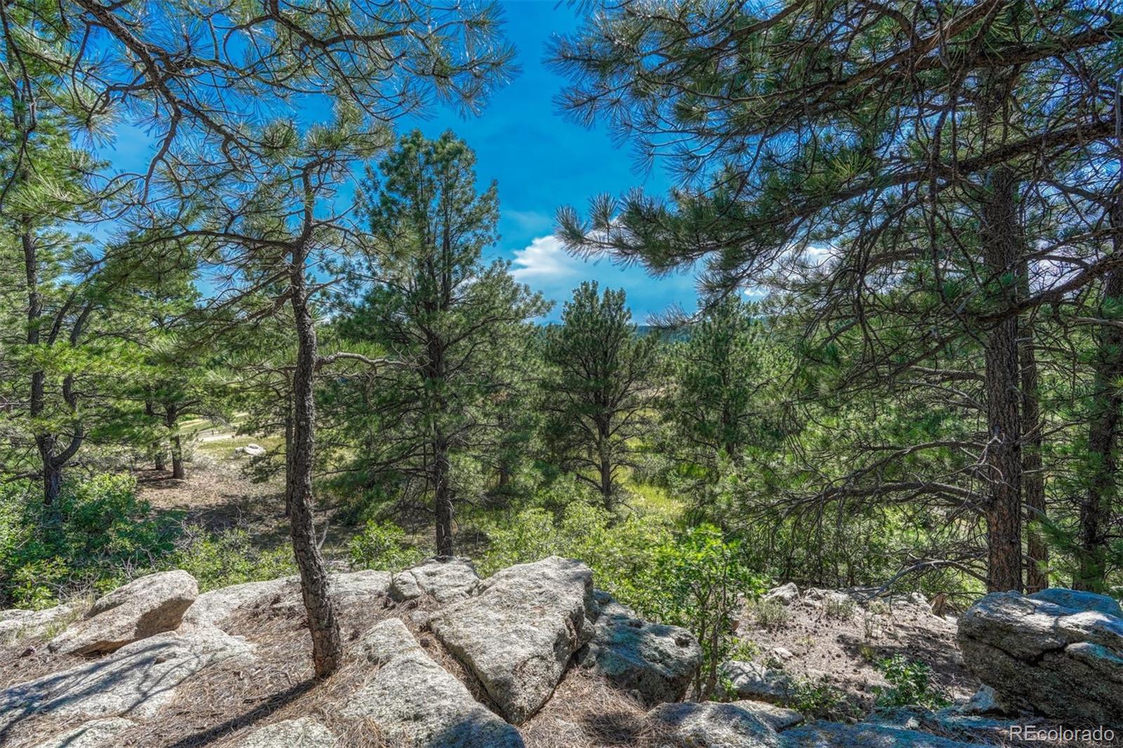 MLS Image #12 for 10345  little moon trail,elbert, Colorado