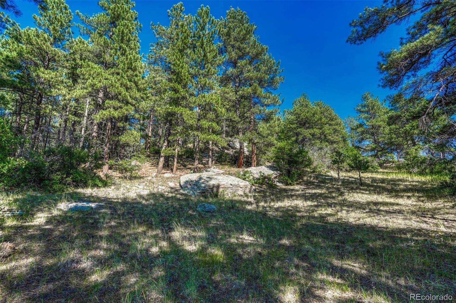 MLS Image #38 for 10345  little moon trail,elbert, Colorado
