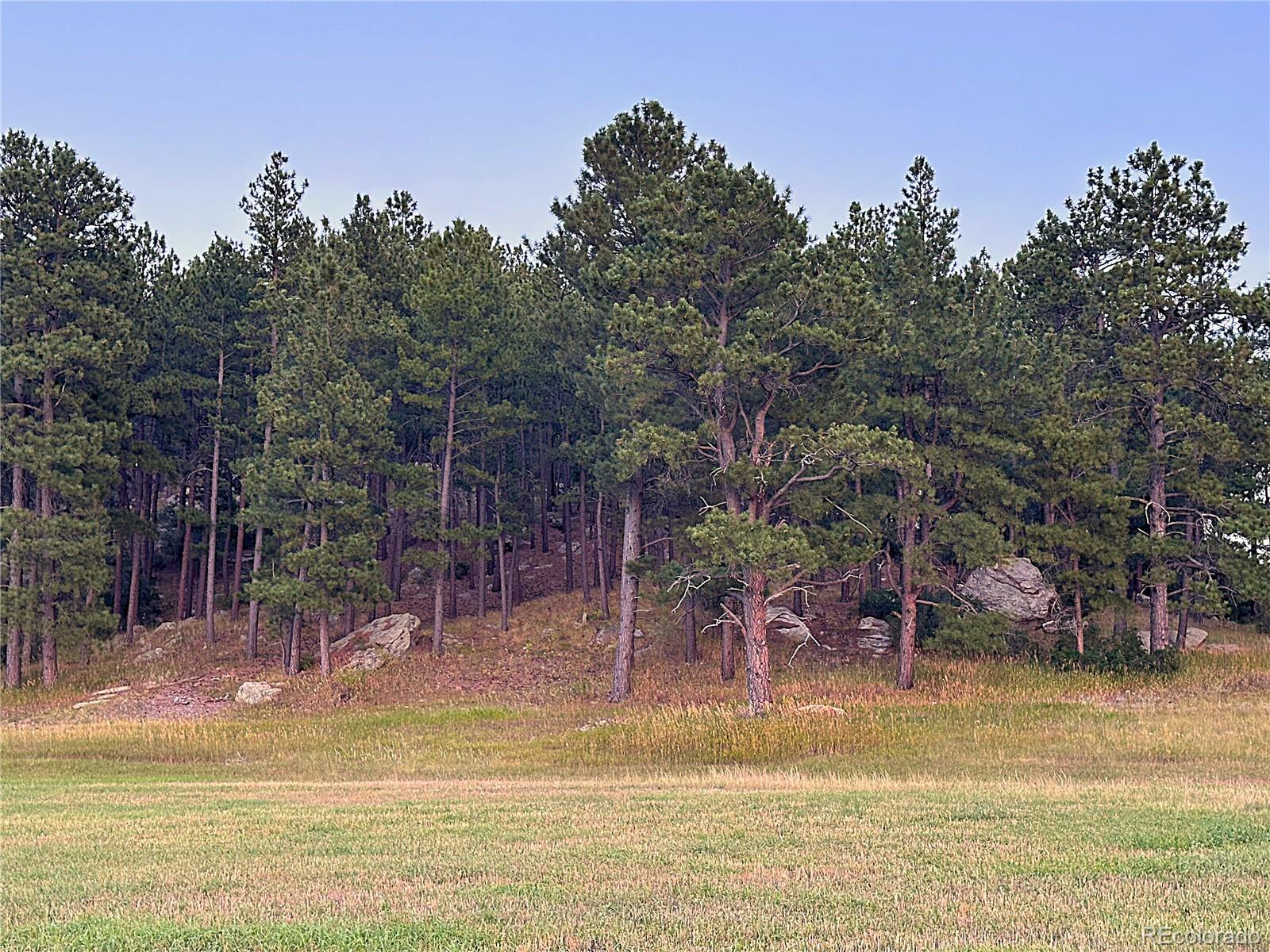 MLS Image #39 for 10345  little moon trail,elbert, Colorado