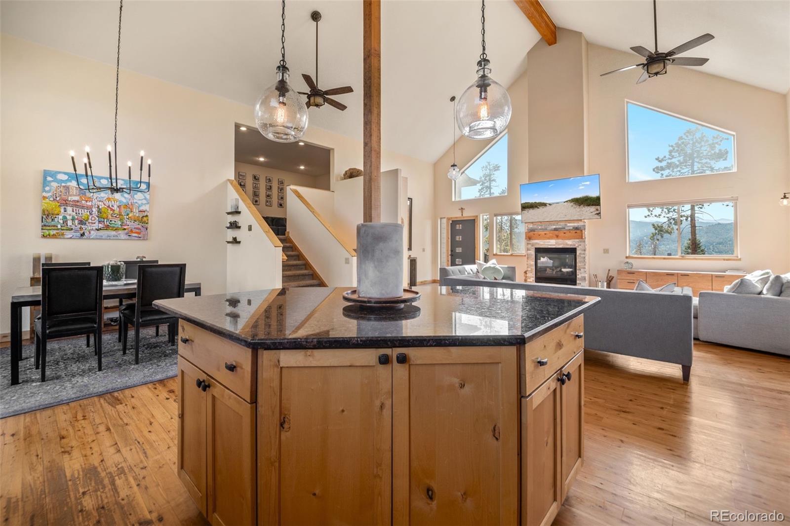 MLS Image #10 for 7102  lynx lair road,evergreen, Colorado