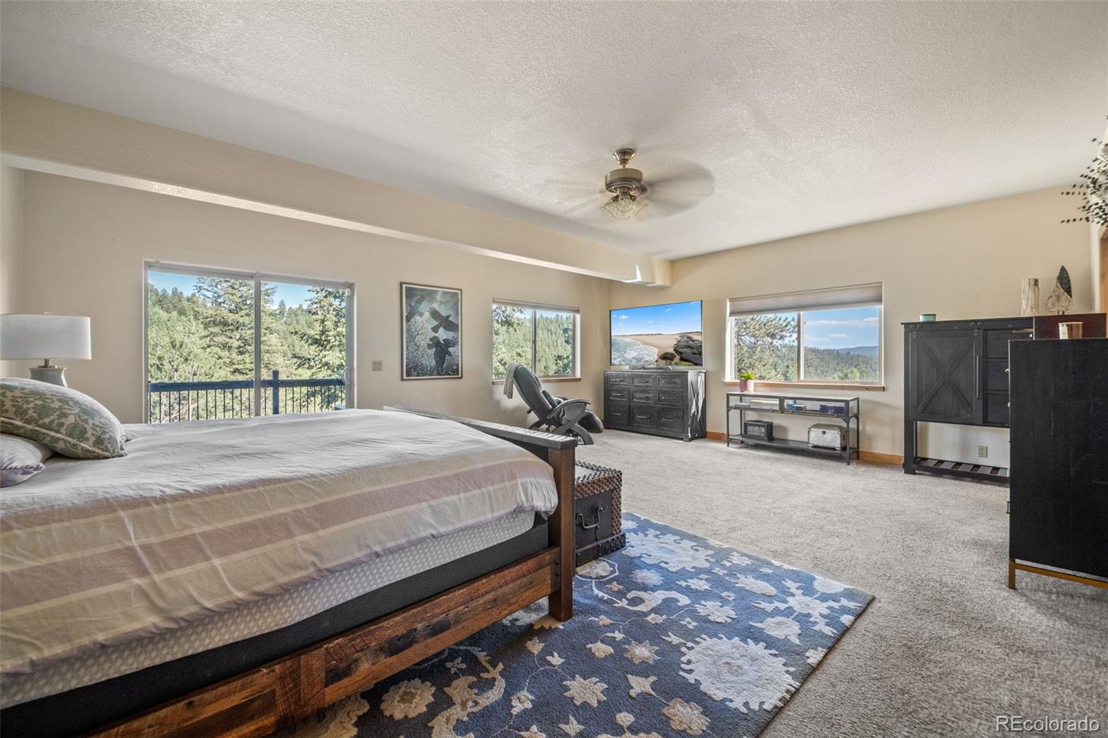 MLS Image #14 for 7102  lynx lair road,evergreen, Colorado