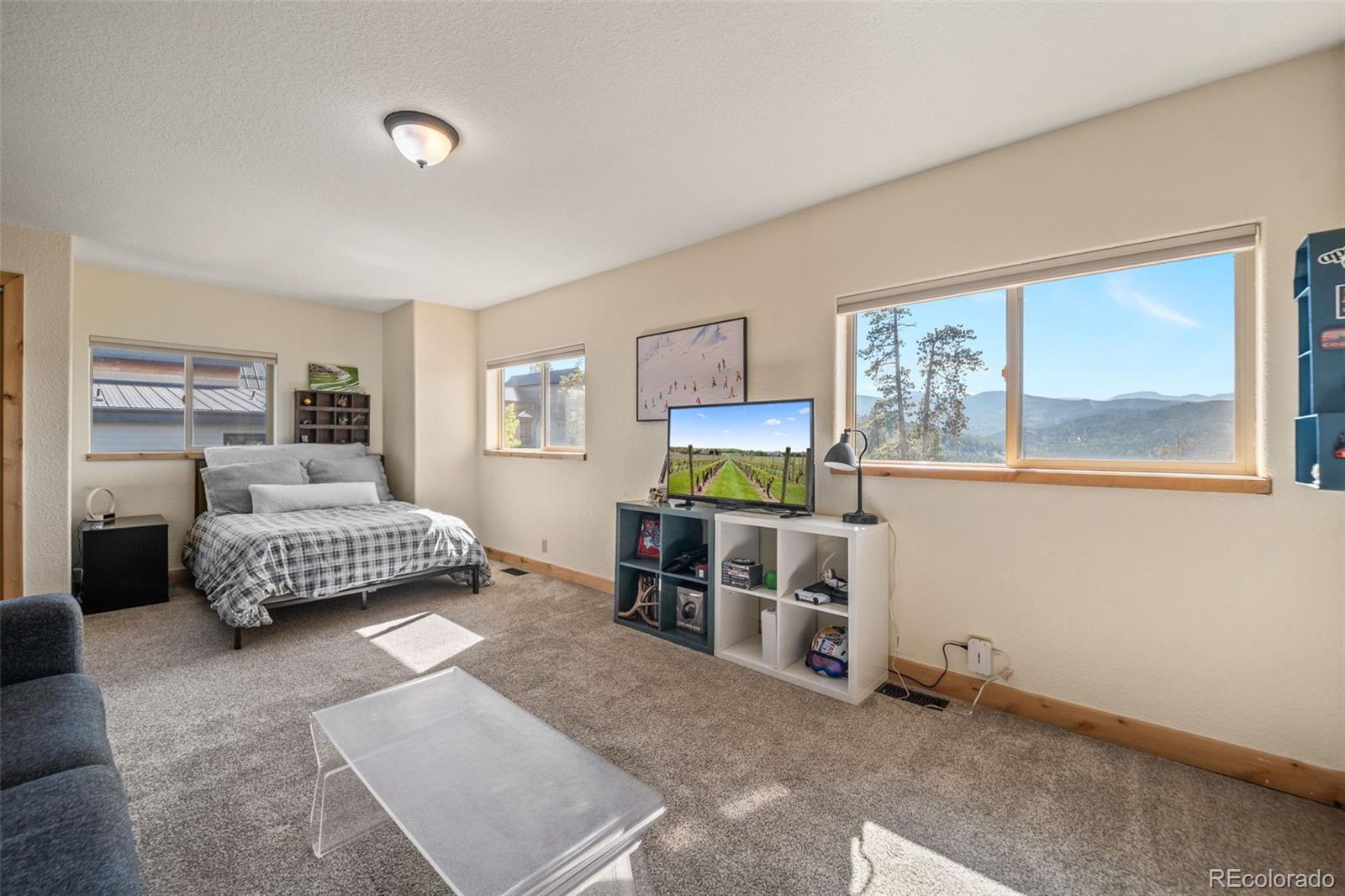 MLS Image #18 for 7102  lynx lair road,evergreen, Colorado