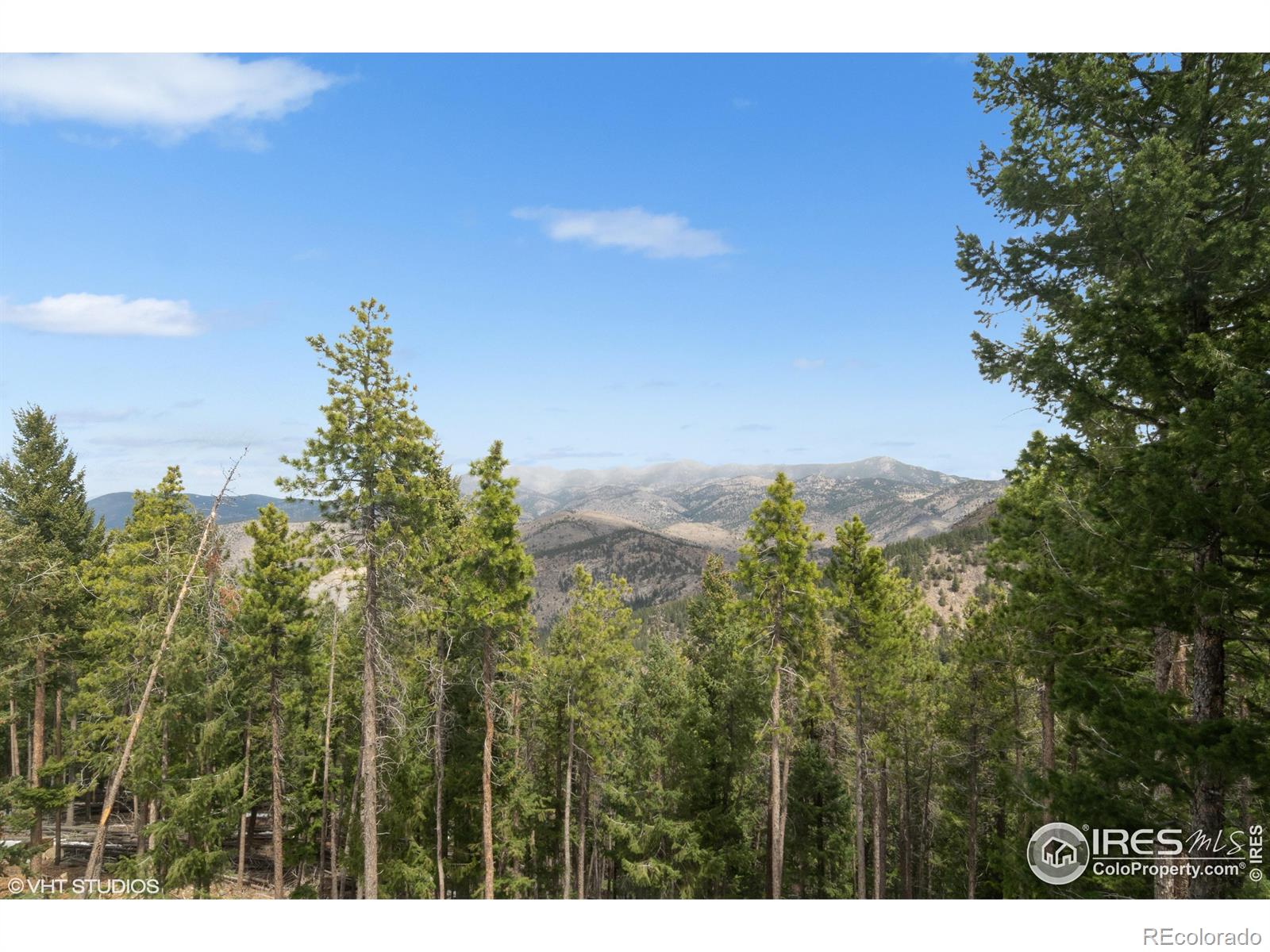 MLS Image #1 for 1810  saddleback drive,evergreen, Colorado
