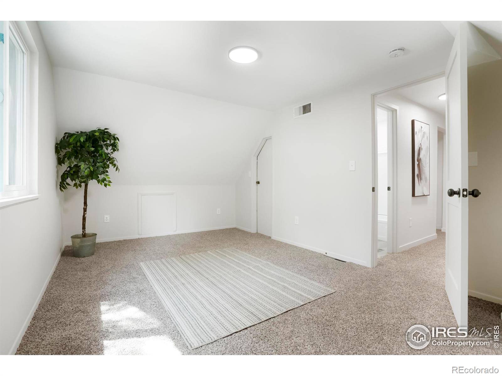 MLS Image #18 for 114  placer avenue,longmont, Colorado