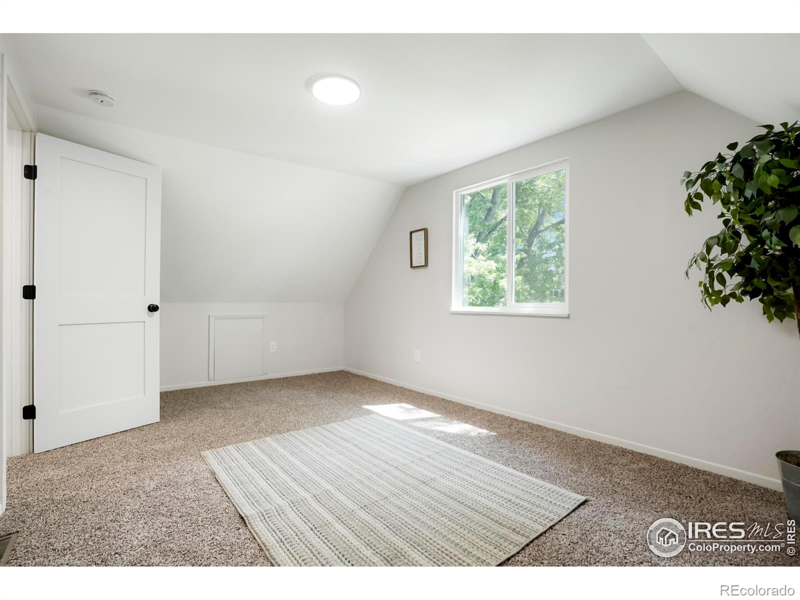 MLS Image #19 for 114  placer avenue,longmont, Colorado