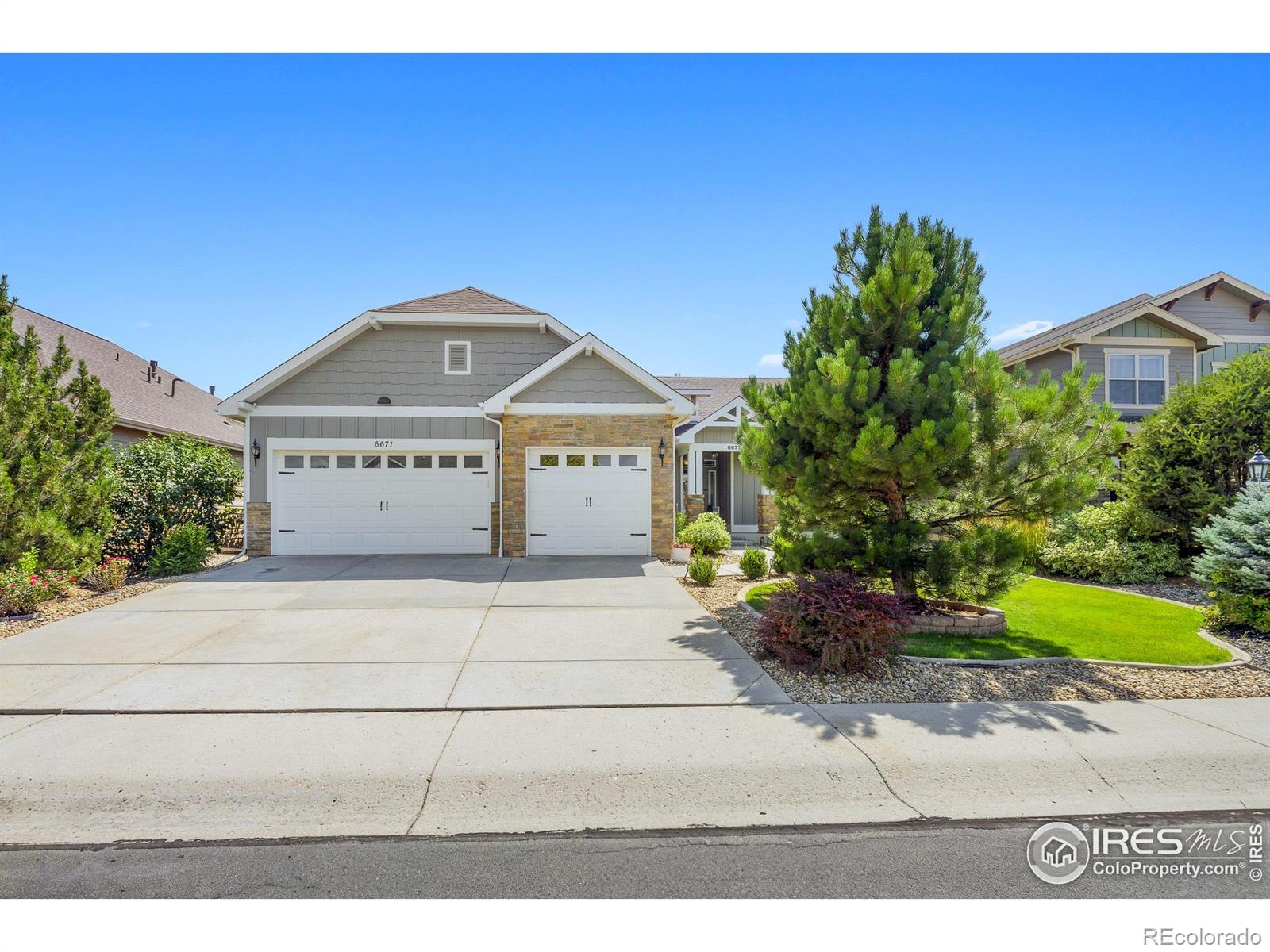 MLS Image #8 for 6671  spanish bay drive,windsor, Colorado