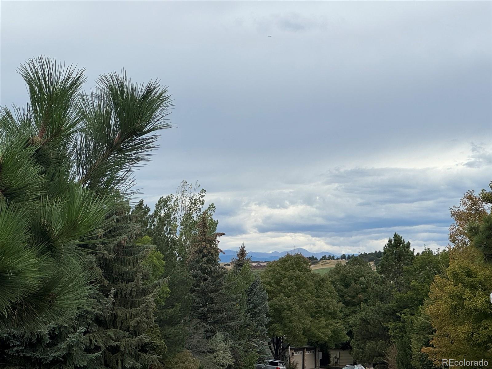 MLS Image #31 for 7412  berkeley court,castle pines, Colorado