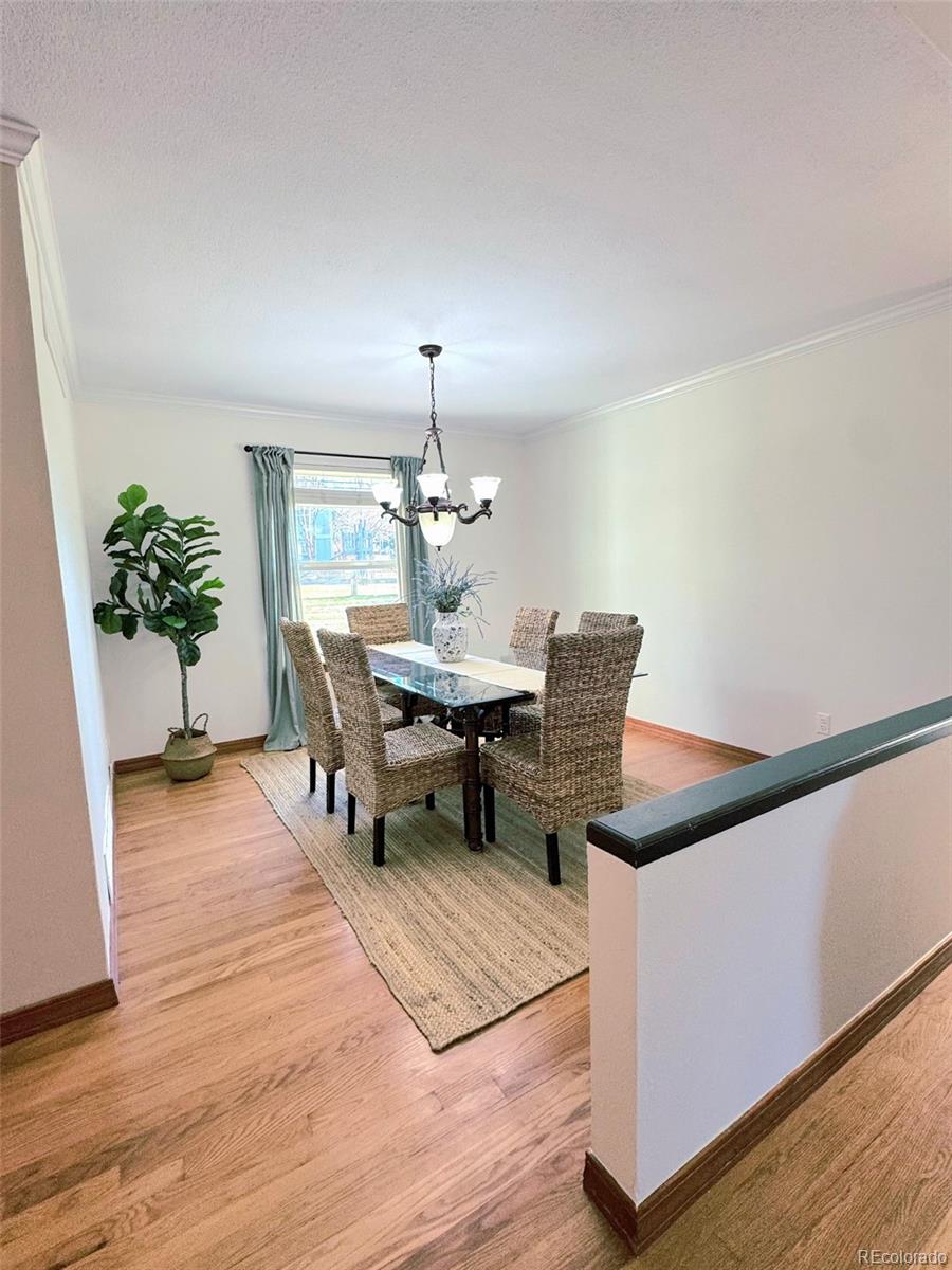 MLS Image #5 for 7412  berkeley court,castle pines, Colorado