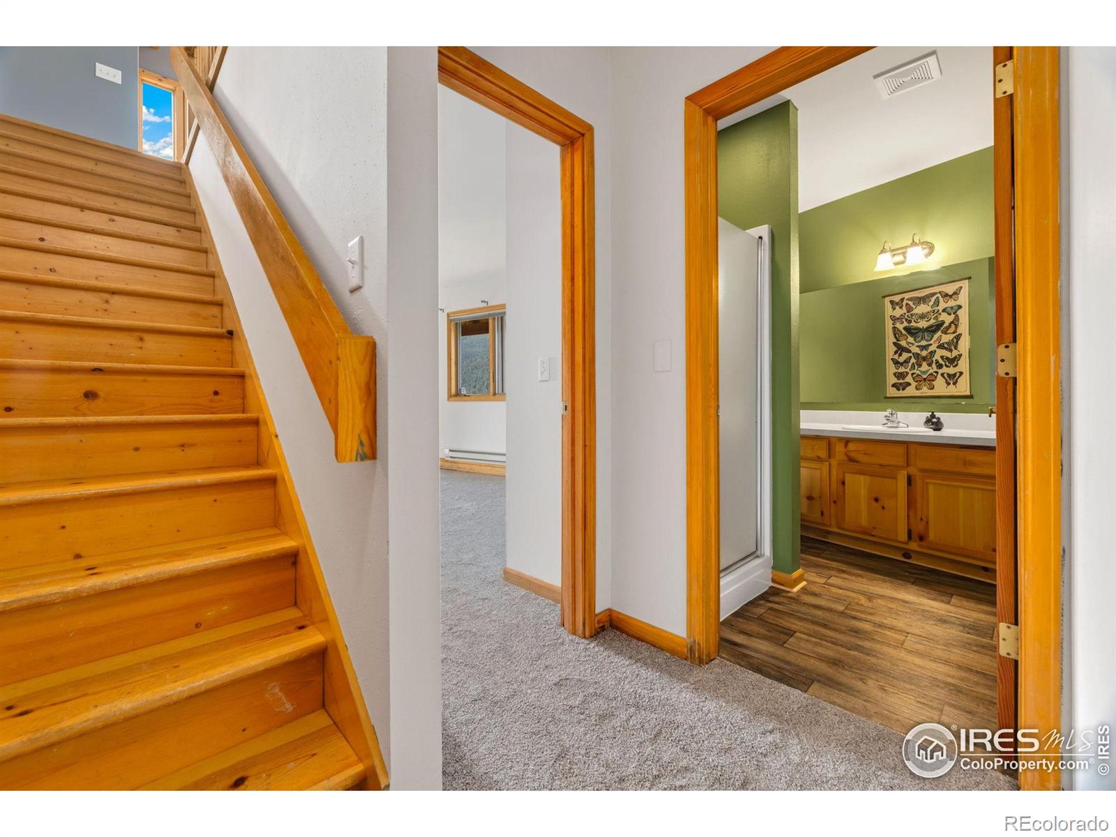 MLS Image #28 for 532  elkridge drive,glen haven, Colorado