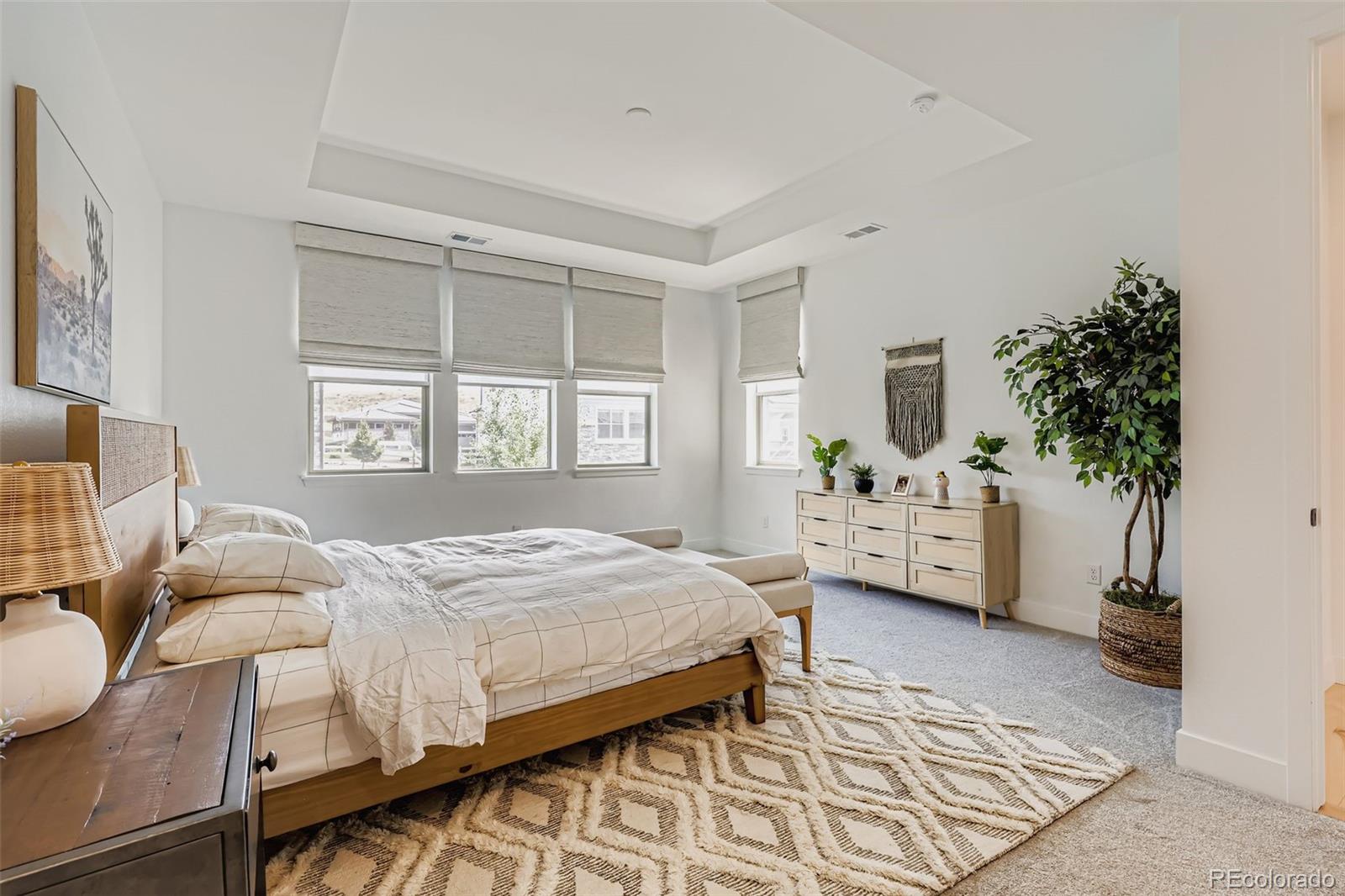 MLS Image #18 for 3434 w 154th place,broomfield, Colorado