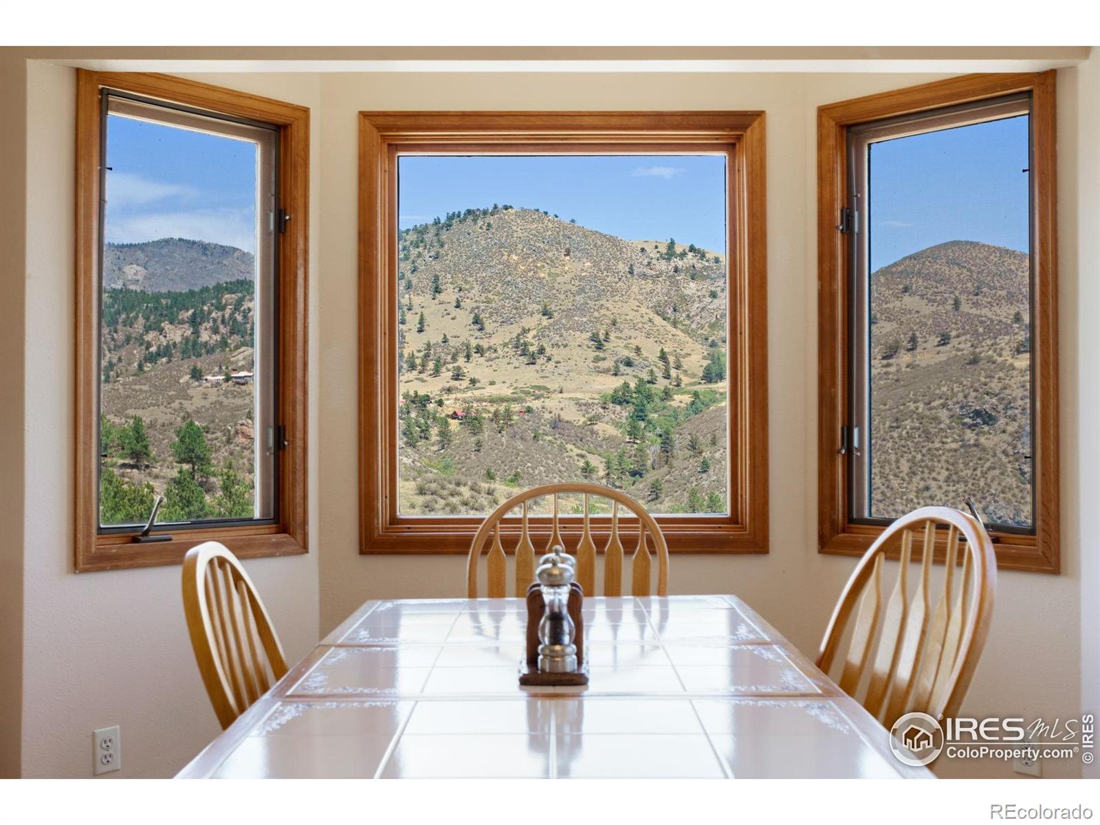 MLS Image #17 for 1190  lonestar road,lyons, Colorado