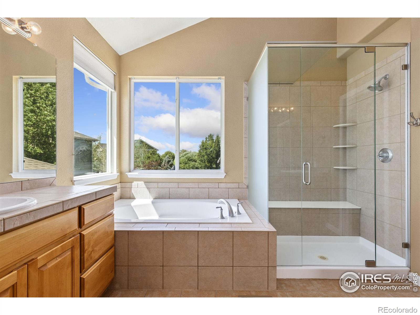 MLS Image #20 for 9077  foxfire street,firestone, Colorado
