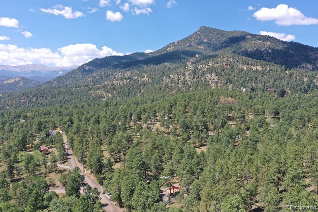 MLS Image #40 for 425  patty drive,evergreen, Colorado