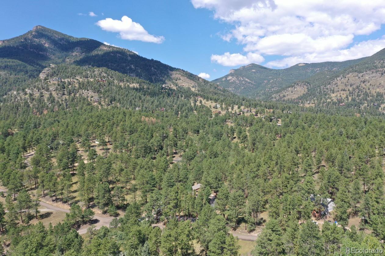 MLS Image #41 for 425  patty drive,evergreen, Colorado