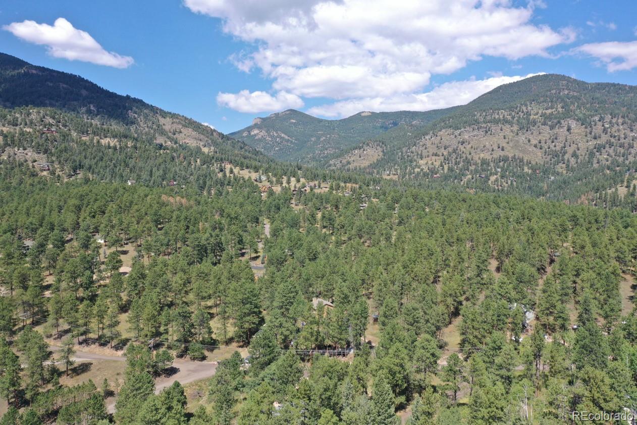 MLS Image #42 for 425  patty drive,evergreen, Colorado
