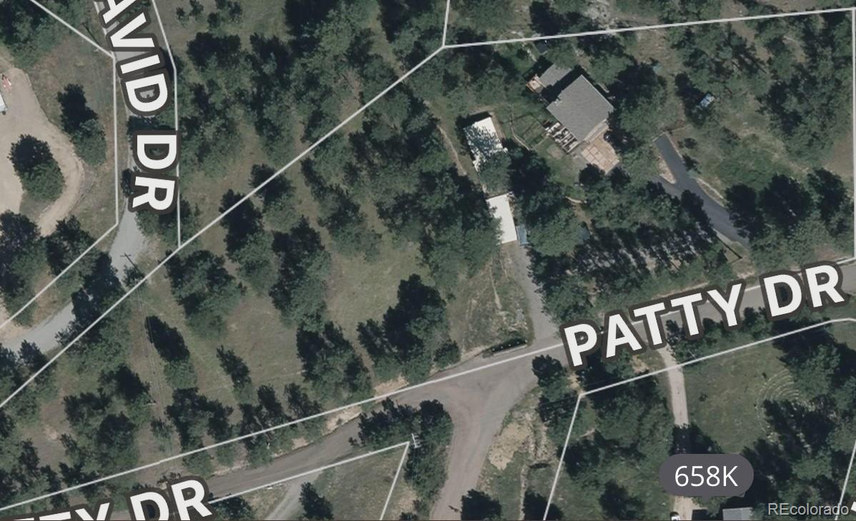 MLS Image #44 for 425  patty drive,evergreen, Colorado