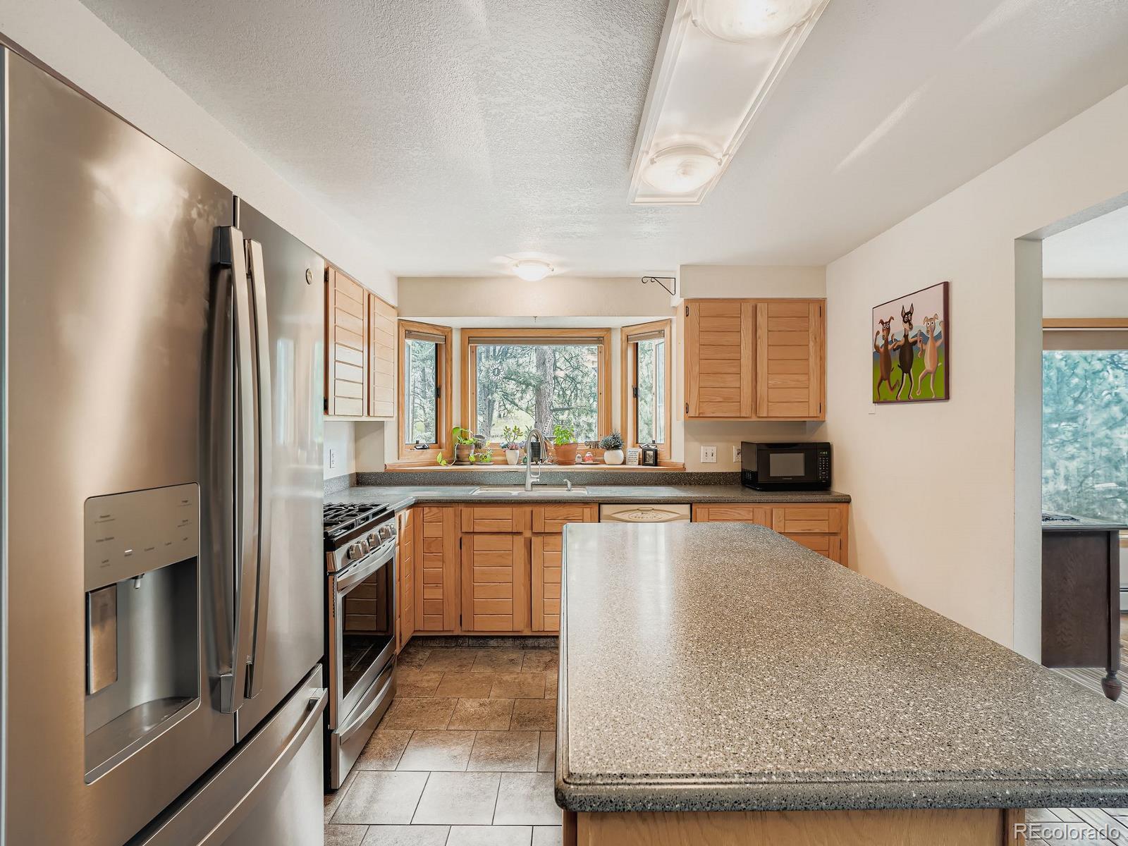 MLS Image #8 for 425  patty drive,evergreen, Colorado