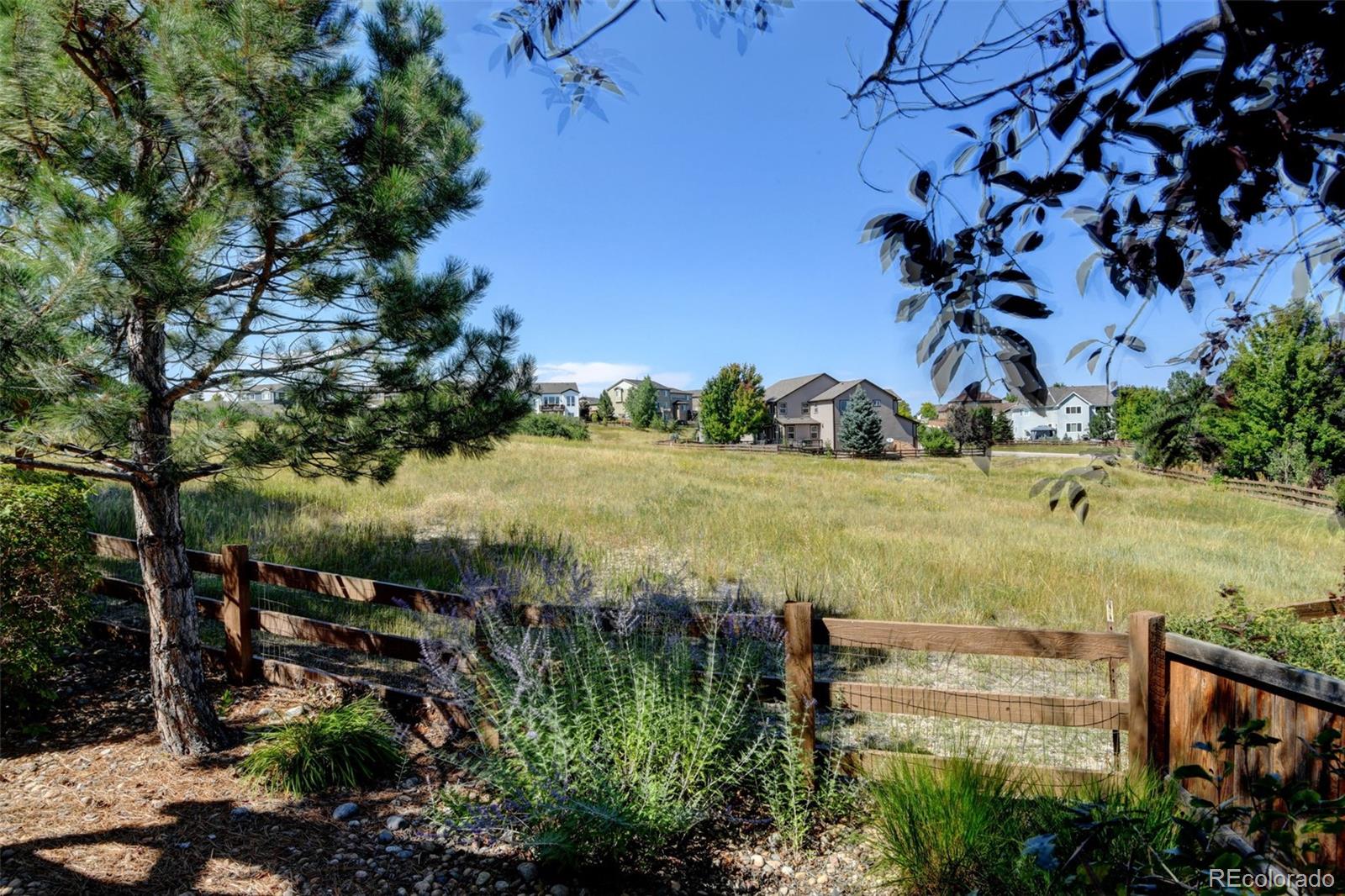 MLS Image #0 for 3325  falling star place,castle rock, Colorado