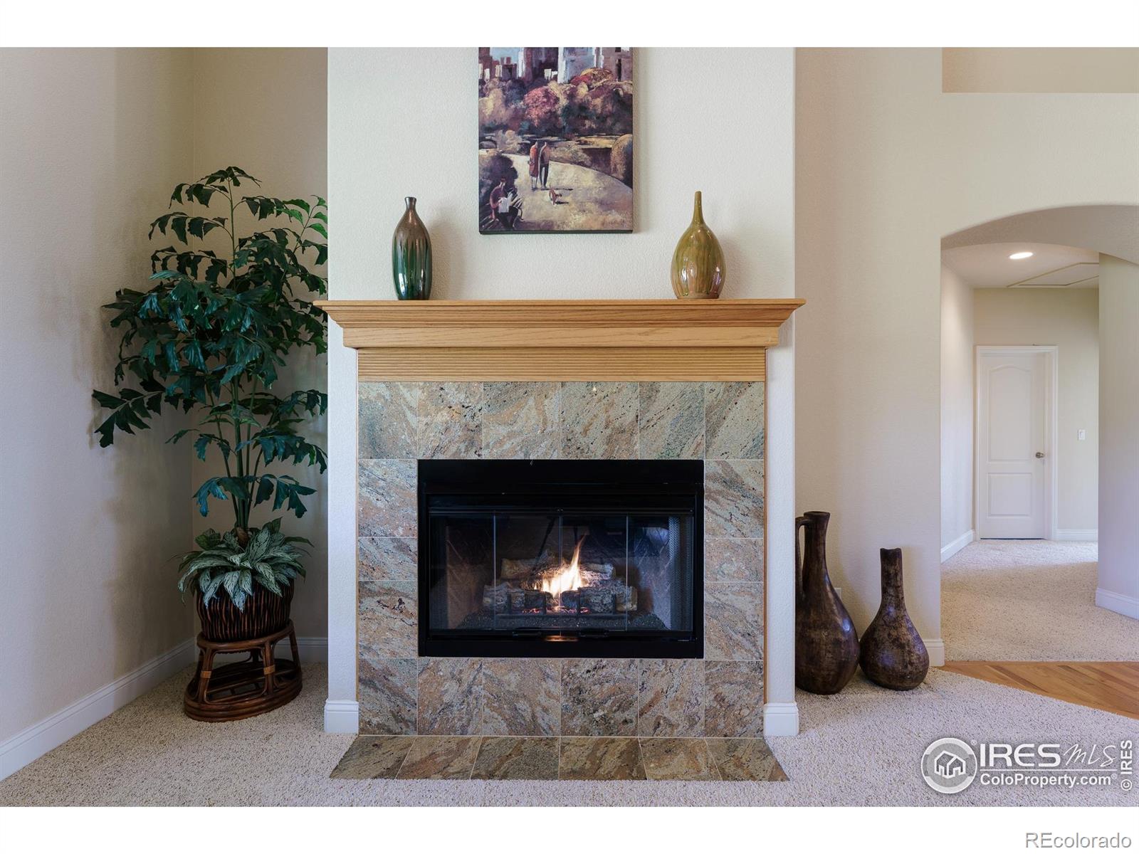 MLS Image #8 for 13105 w 81st avenue,arvada, Colorado