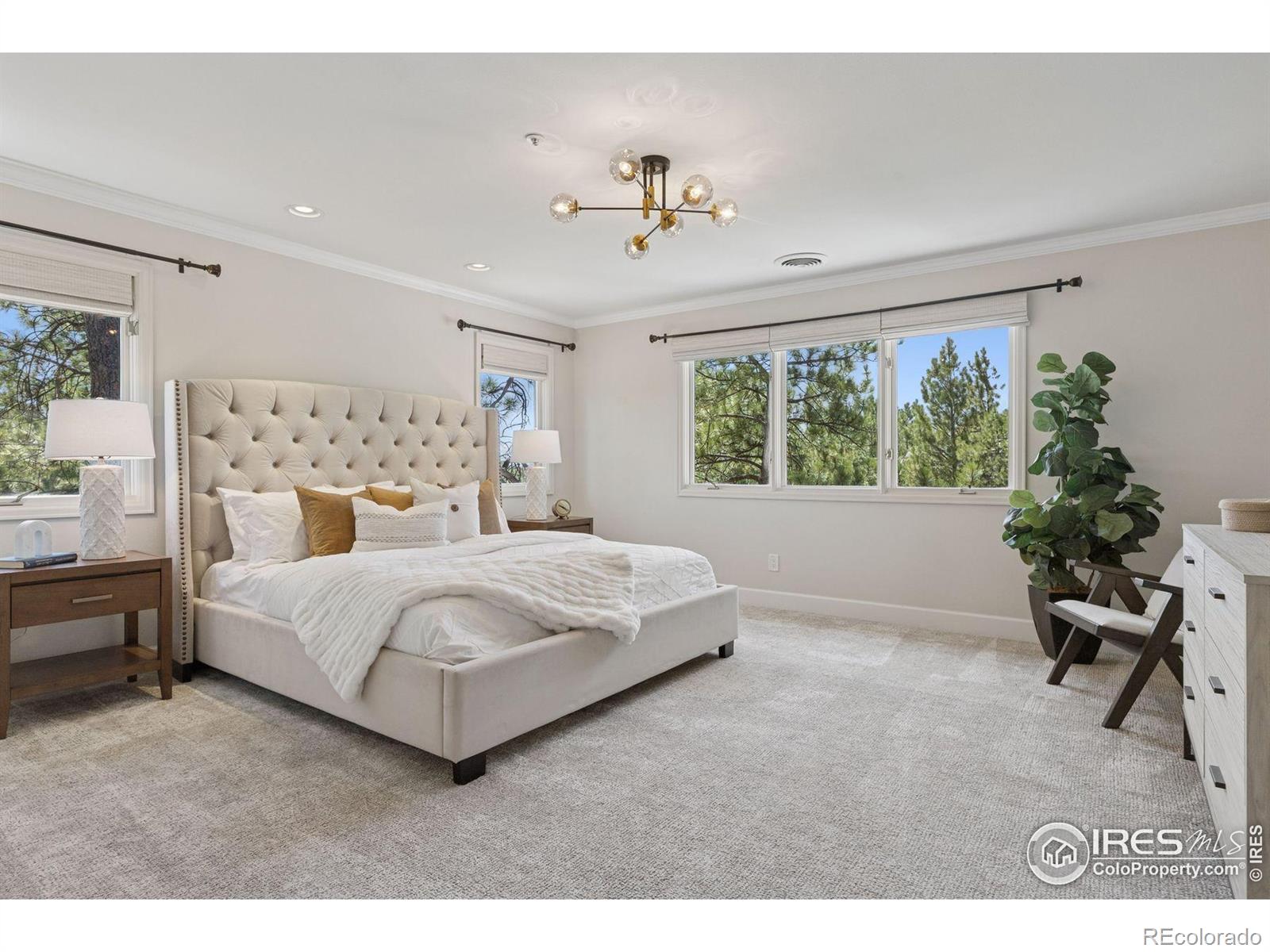 MLS Image #25 for 65  indigo way,castle rock, Colorado