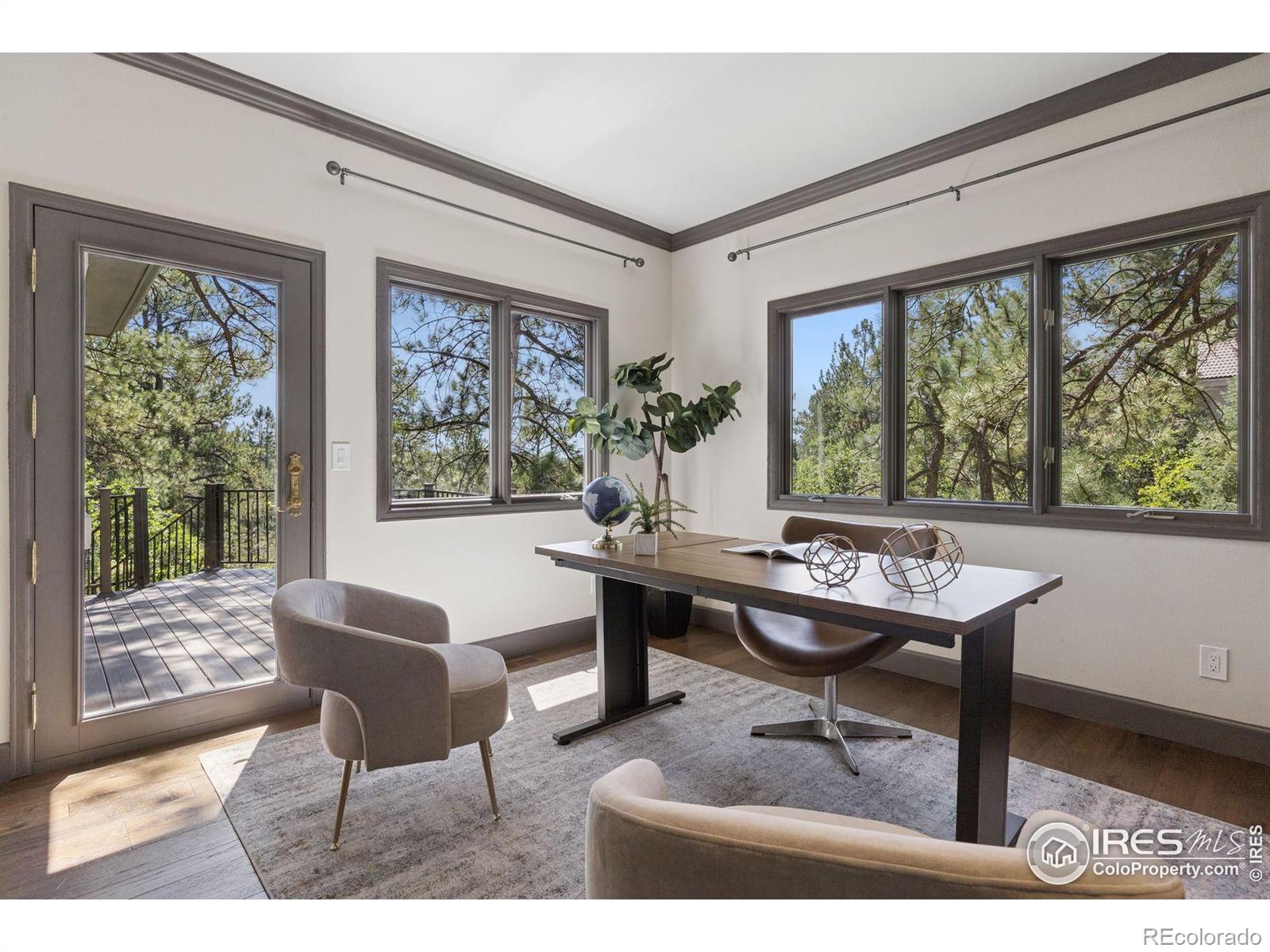 MLS Image #3 for 65  indigo way,castle rock, Colorado