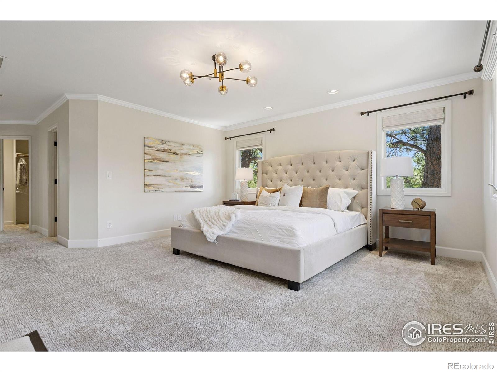 MLS Image #30 for 65  indigo way,castle rock, Colorado