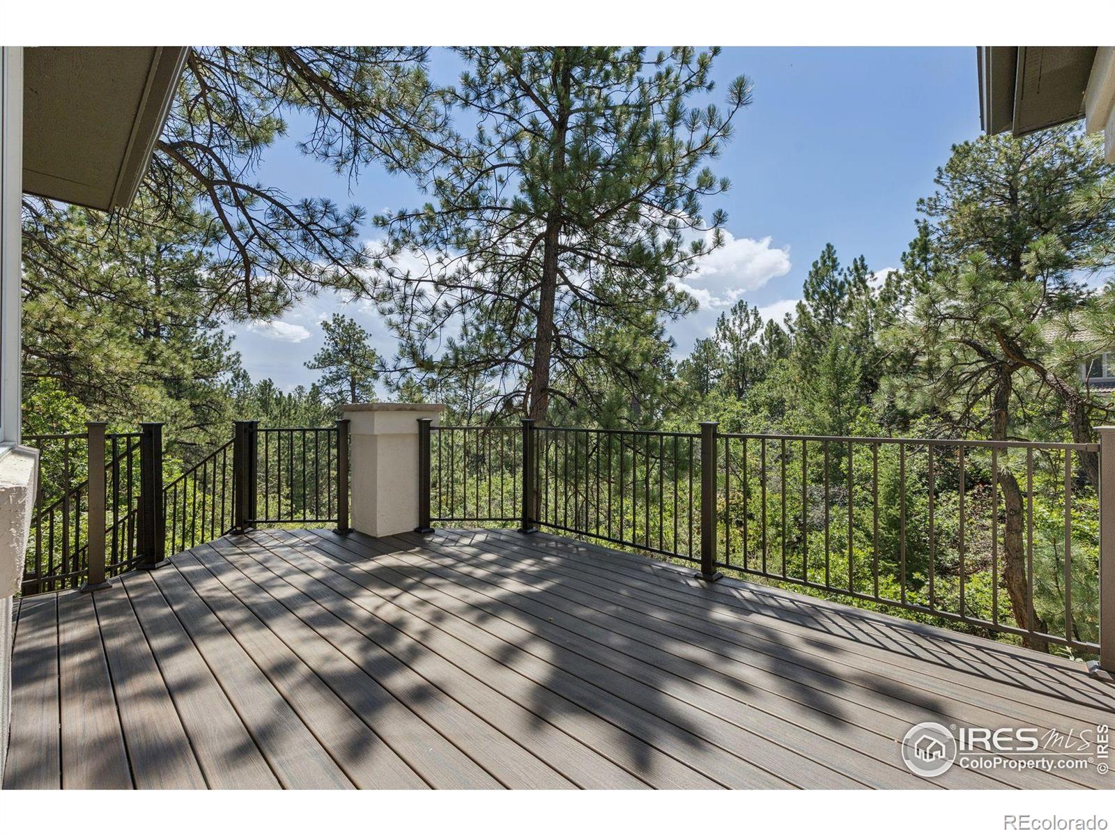 MLS Image #49 for 65  indigo way,castle rock, Colorado