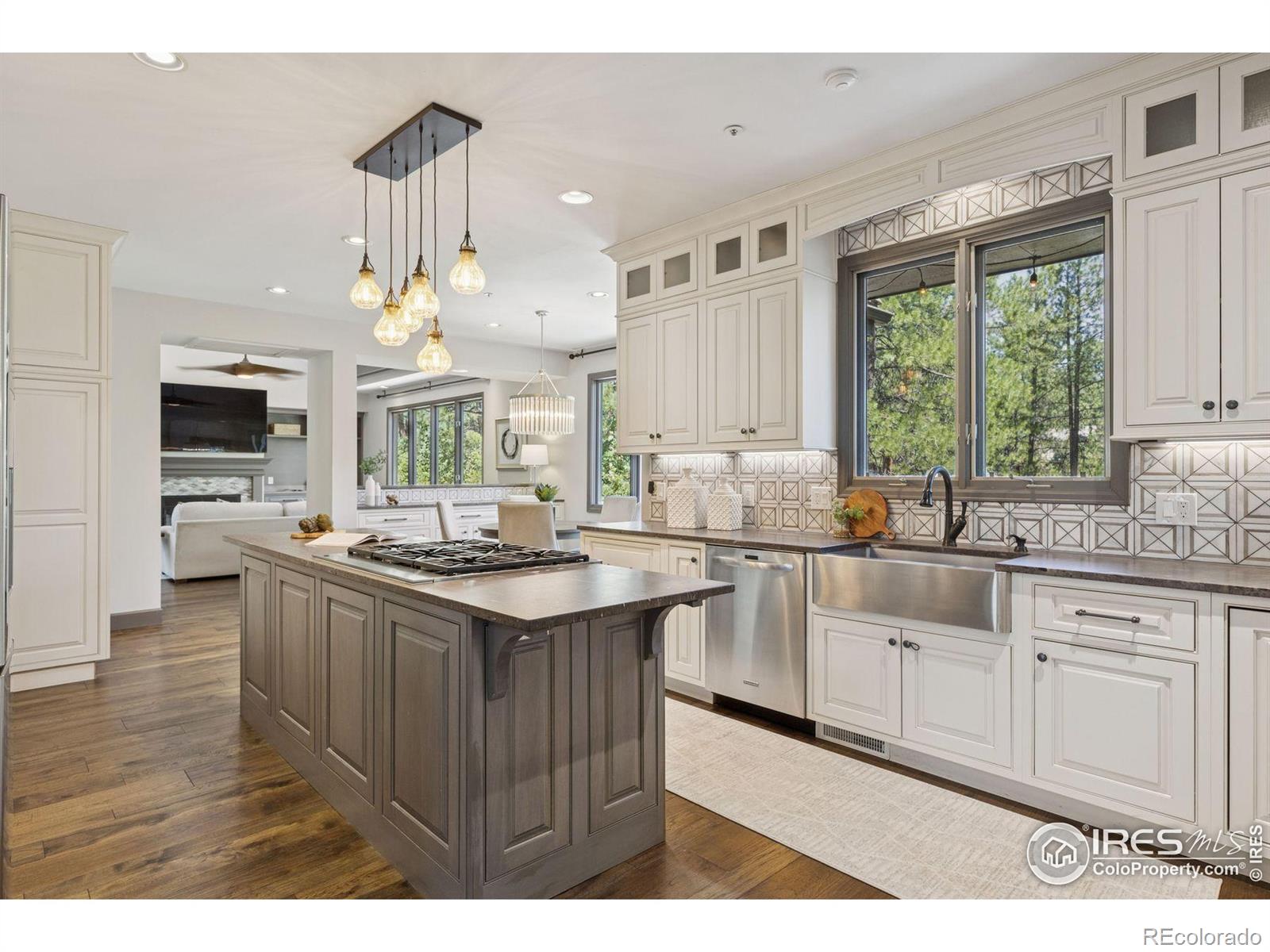 MLS Image #5 for 65  indigo way,castle rock, Colorado