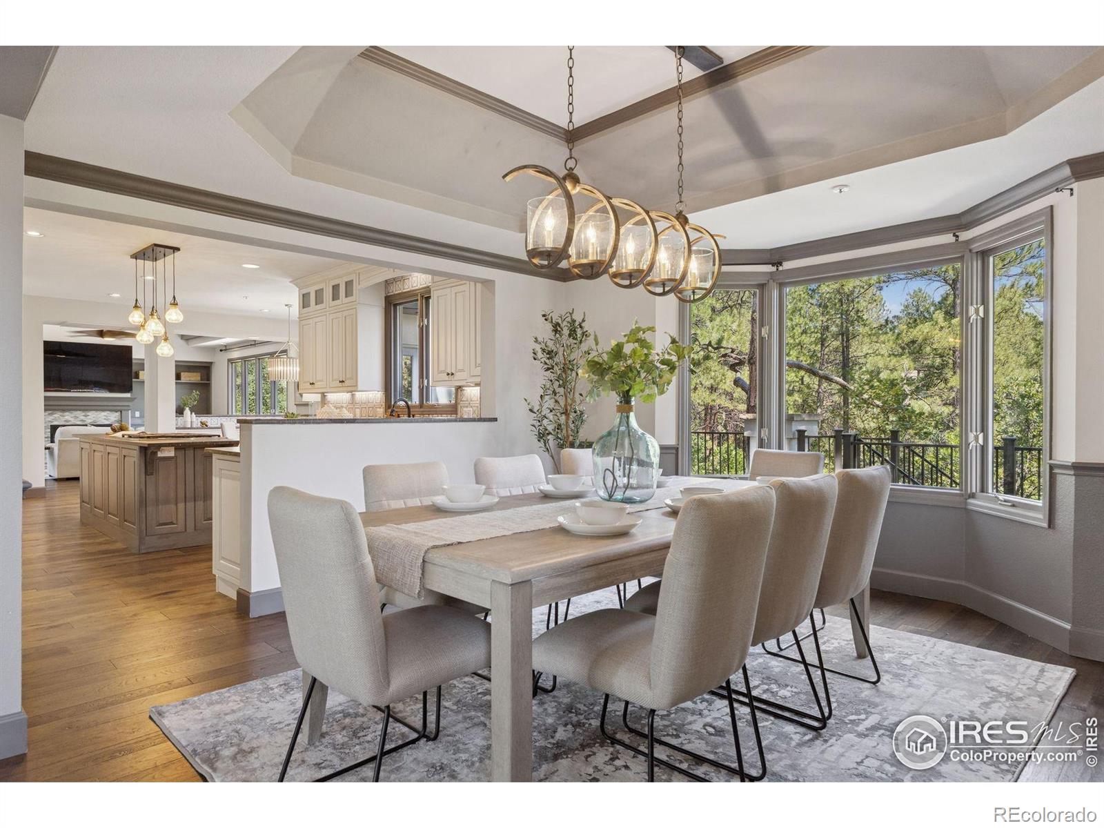 MLS Image #7 for 65  indigo way,castle rock, Colorado