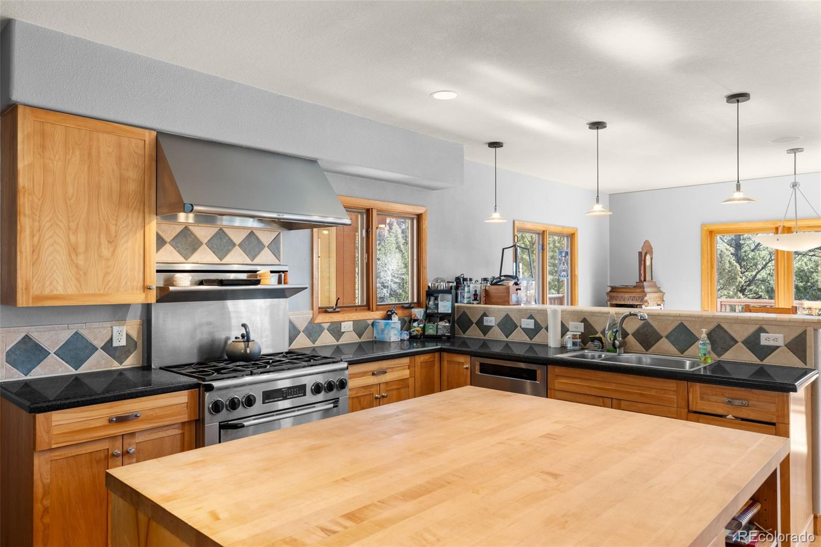 MLS Image #16 for 13445 s baird road,conifer, Colorado