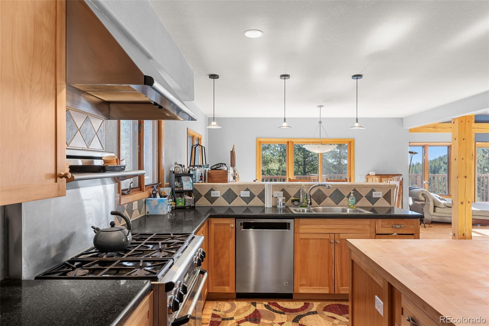 MLS Image #18 for 13445 s baird road,conifer, Colorado