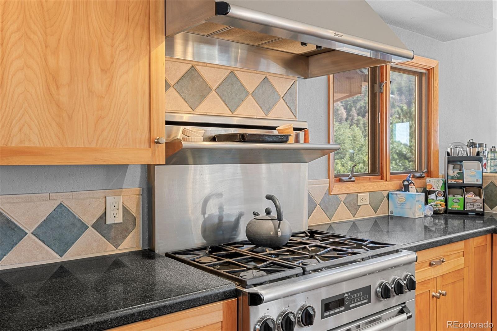 MLS Image #19 for 13445 s baird road,conifer, Colorado