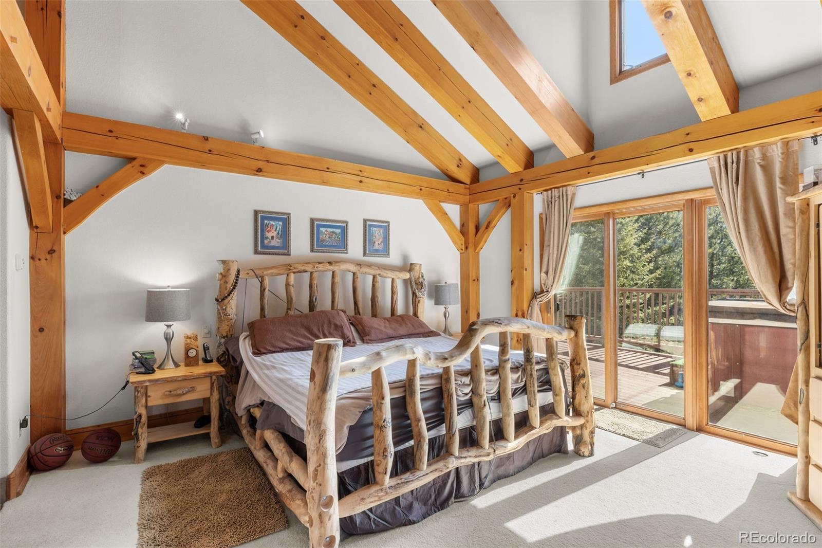 MLS Image #24 for 13445 s baird road,conifer, Colorado