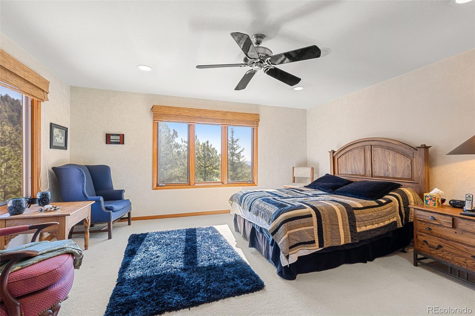 MLS Image #41 for 13445 s baird road,conifer, Colorado