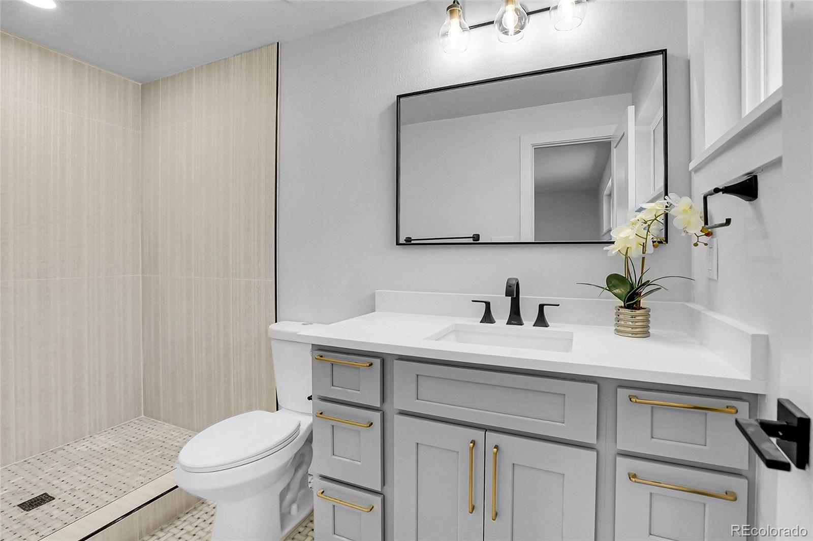 MLS Image #11 for 3309 s galena court,denver, Colorado
