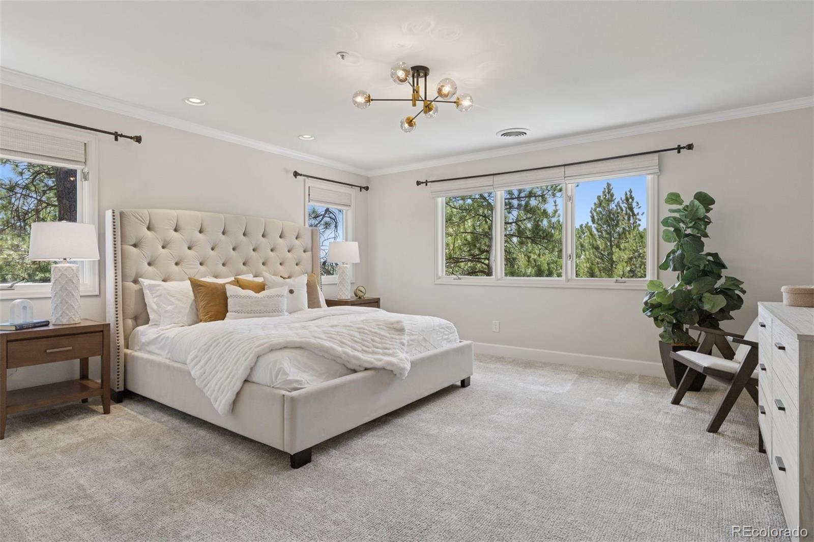MLS Image #27 for 65  indigo way,castle rock, Colorado