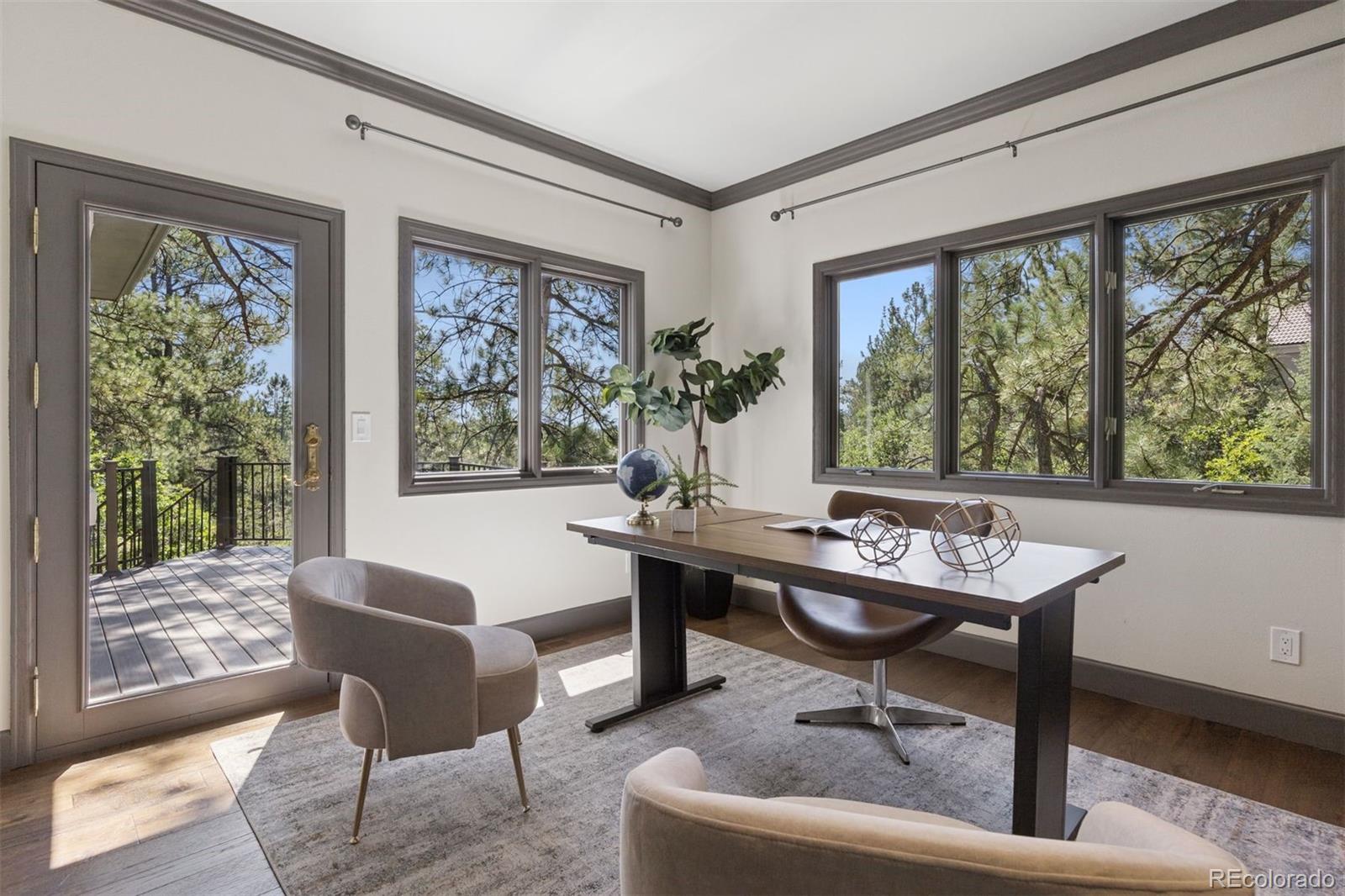 MLS Image #3 for 65  indigo way,castle rock, Colorado