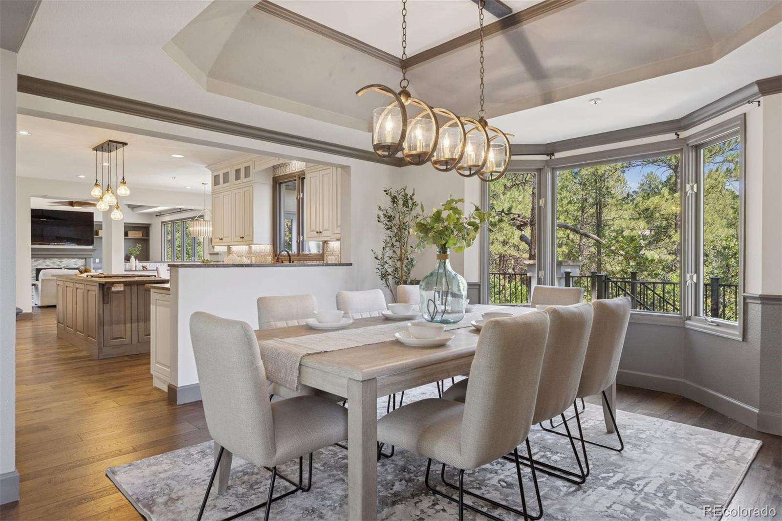 MLS Image #5 for 65  indigo way,castle rock, Colorado