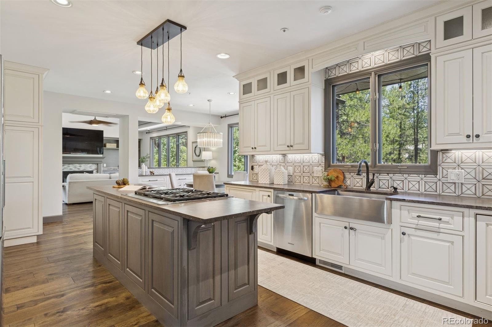 MLS Image #6 for 65  indigo way,castle rock, Colorado