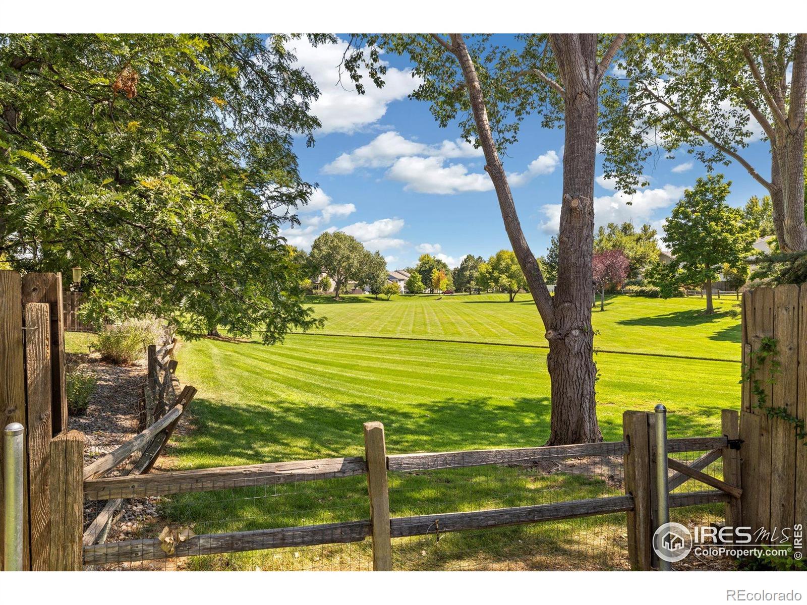 MLS Image #1 for 1208  monarch drive,longmont, Colorado