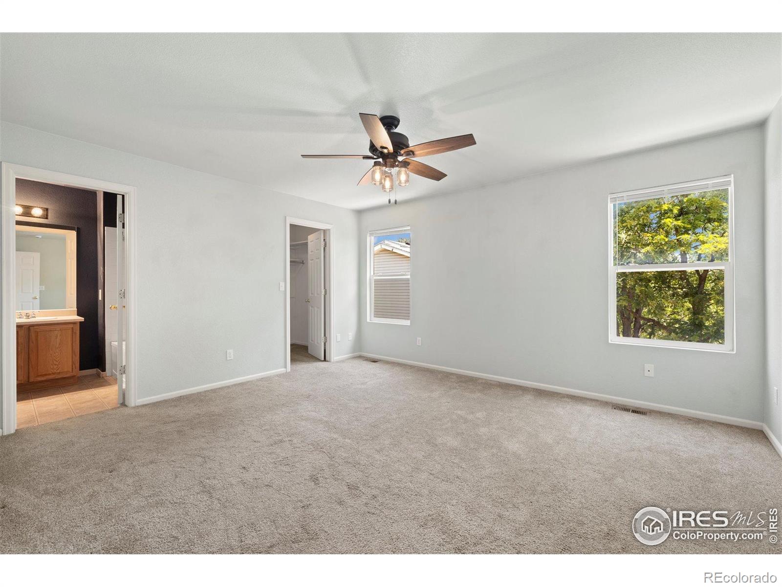 MLS Image #17 for 1208  monarch drive,longmont, Colorado
