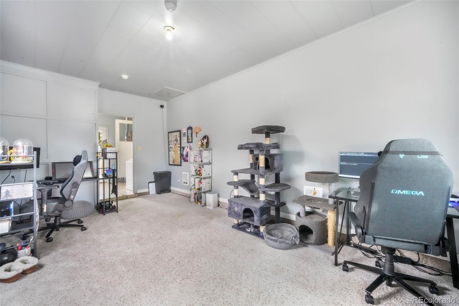 MLS Image #21 for 217  steven drive,colorado springs, Colorado
