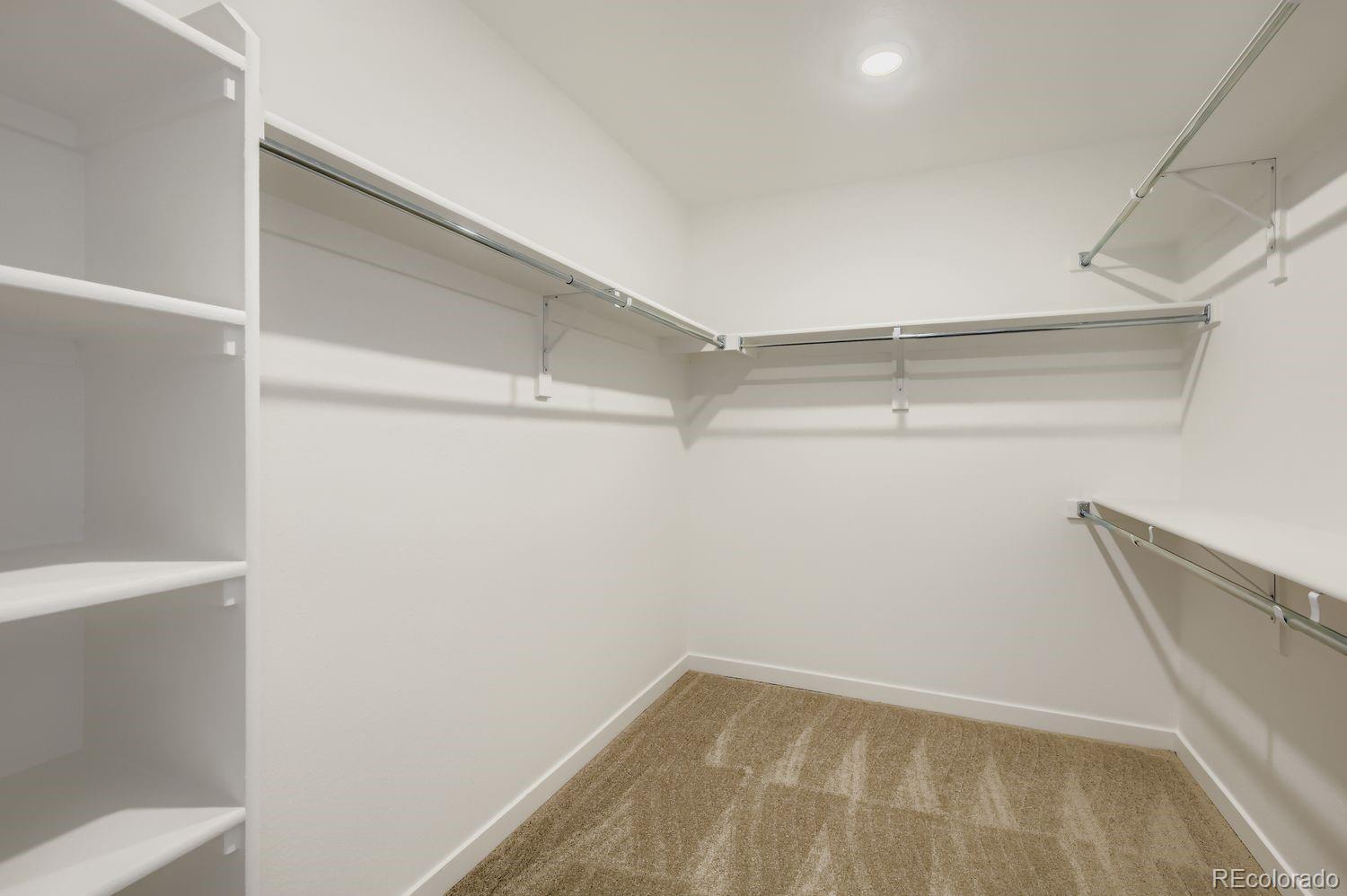 MLS Image #8 for 3158  gladstone avenue,loveland, Colorado